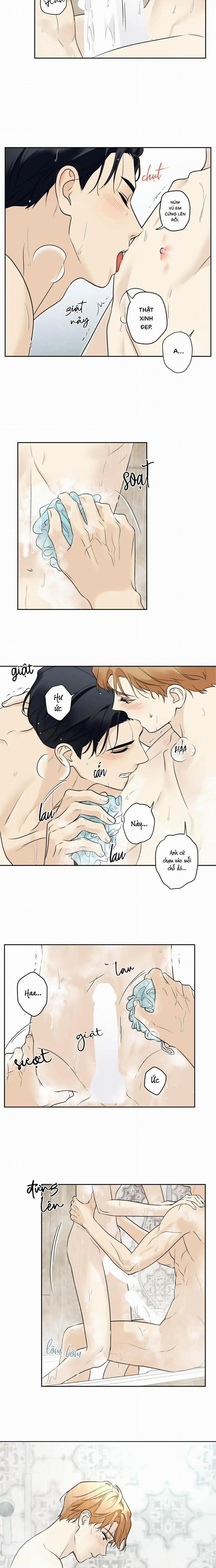 Sao Cậu Lại Luôn Tốt Với Tất Cả Mọi Người Thế? 41 trang 9