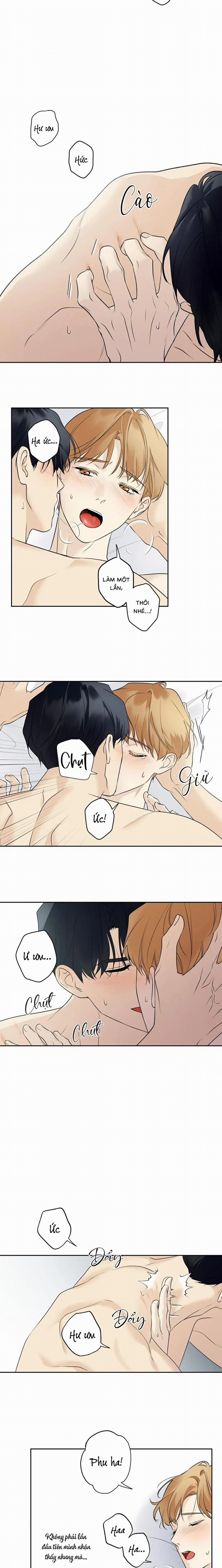 Sao Cậu Lại Luôn Tốt Với Tất Cả Mọi Người Thế? 42 trang 6