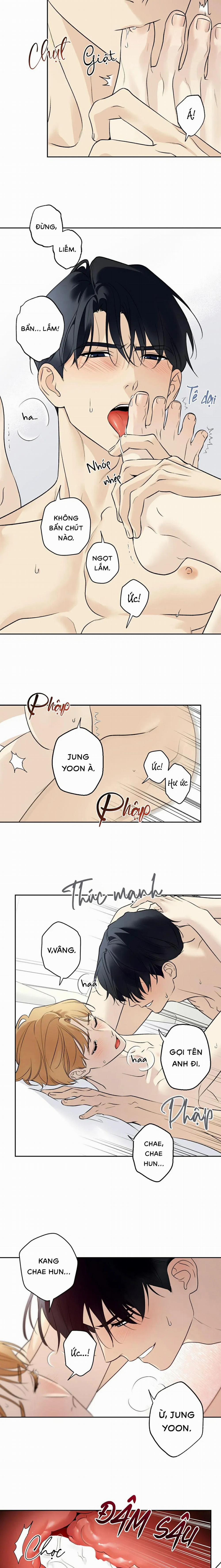 Sao Cậu Lại Luôn Tốt Với Tất Cả Mọi Người Thế? 42 trang 8