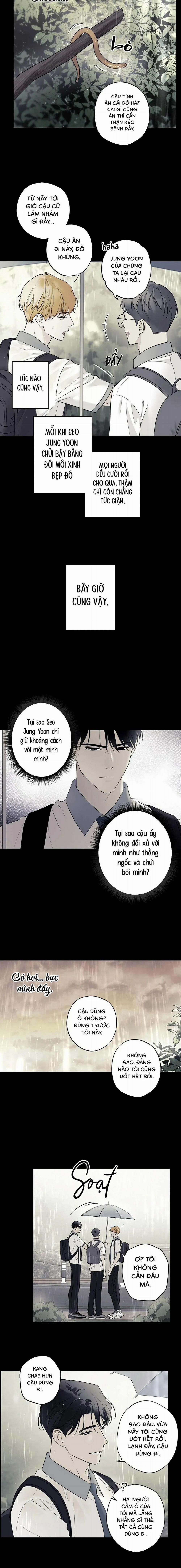 Sao Cậu Lại Luôn Tốt Với Tất Cả Mọi Người Thế? 44 trang 11