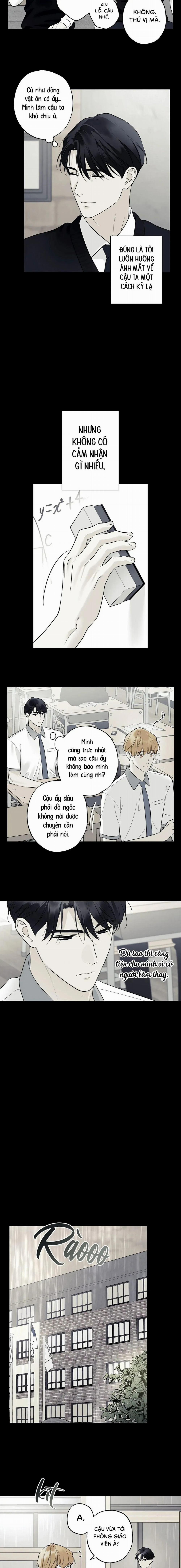 Sao Cậu Lại Luôn Tốt Với Tất Cả Mọi Người Thế? 44 trang 8