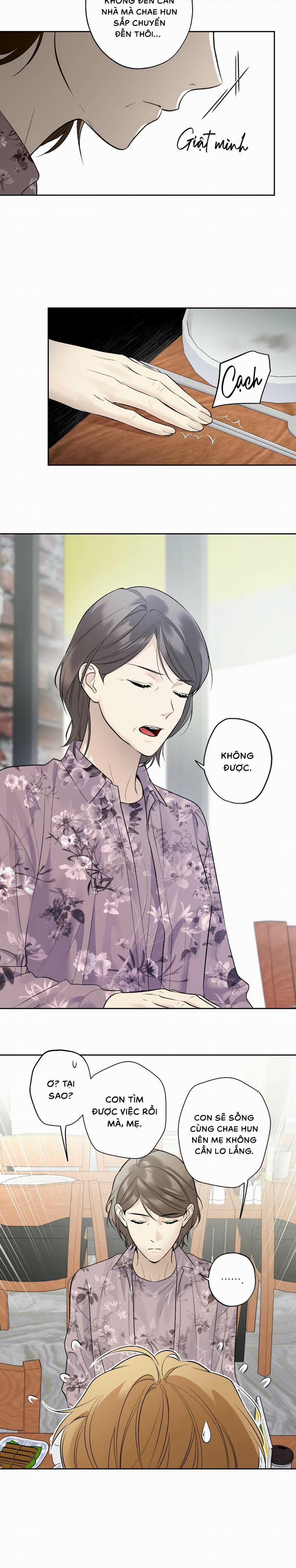 Sao Cậu Lại Luôn Tốt Với Tất Cả Mọi Người Thế? 55 trang 11