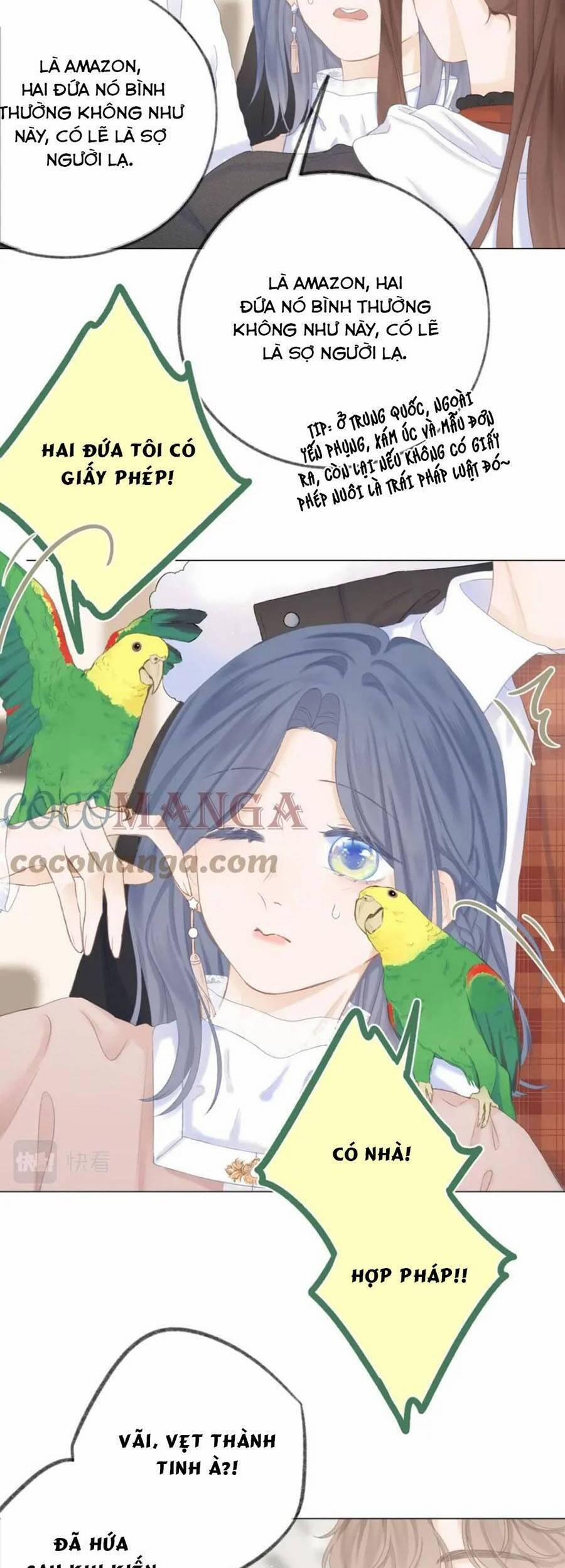 Sao Giờ, Đẩy Thuyền Tới Muốn Yêu 41 trang 8