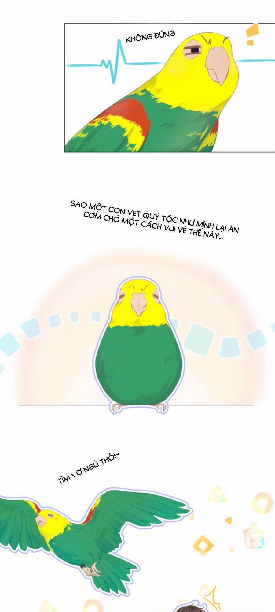 Sao Giờ, Đẩy Thuyền Tới Muốn Yêu 8 trang 8