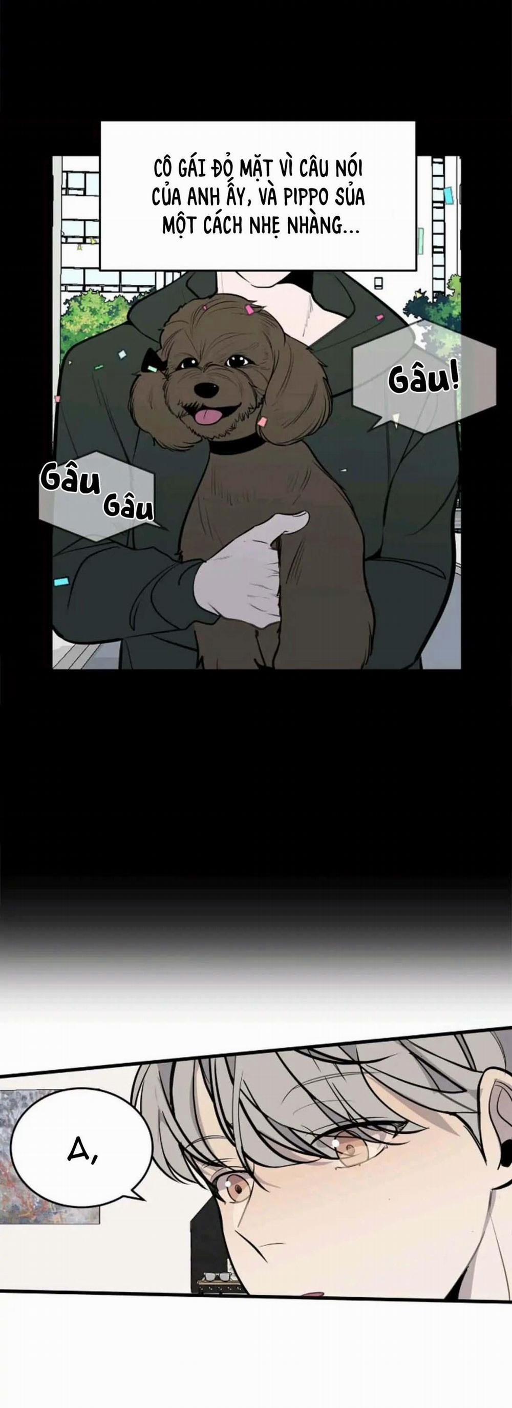 Sao NOTP Lại Thành Thật Rồi? (END) 16 trang 19