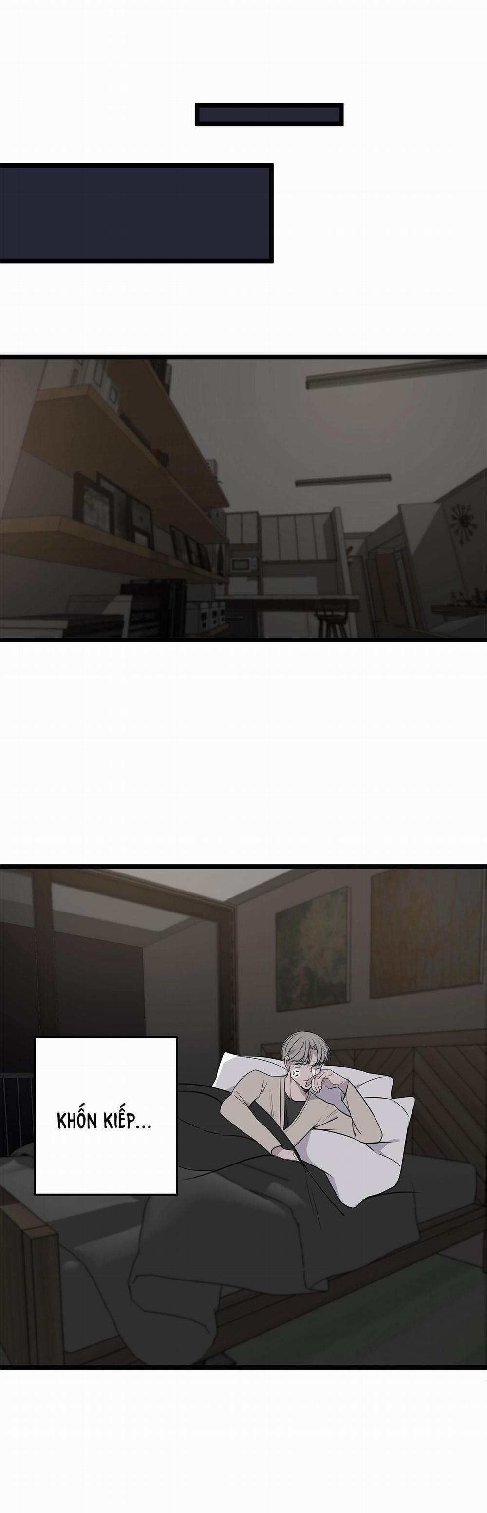 Sao NOTP Lại Thành Thật Rồi? 11 trang 14