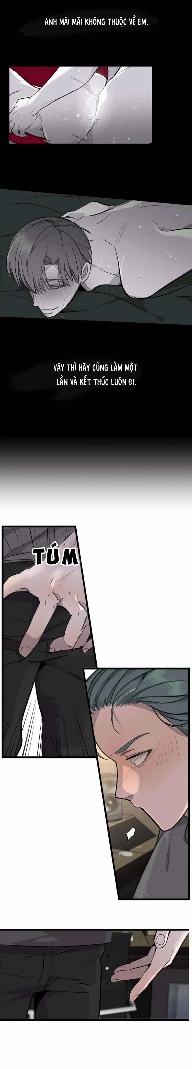 Sao NOTP Lại Thành Thật Rồi? 12 trang 16