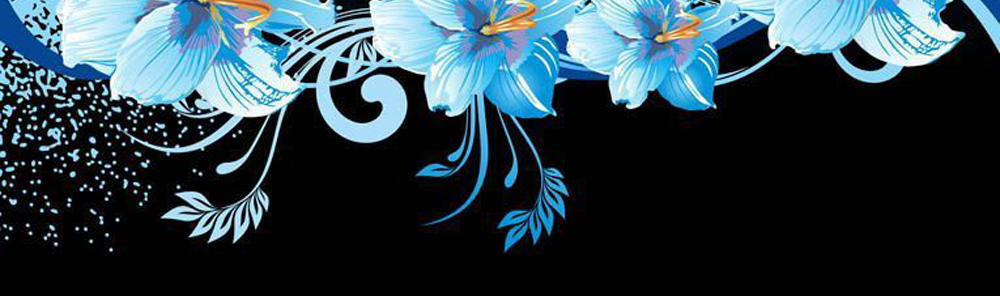 Saotome Girl, Hitakakusu 15 trang 2