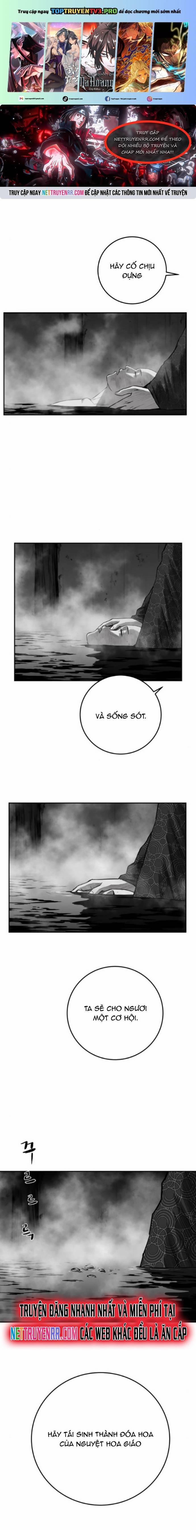 Sát Thủ Anh Vũ 95 trang 0