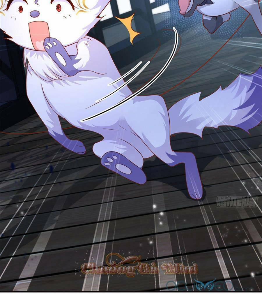 Sát Thủ Đại Nhân Tại Tuyến Dưỡng Hồ 0 trang 4