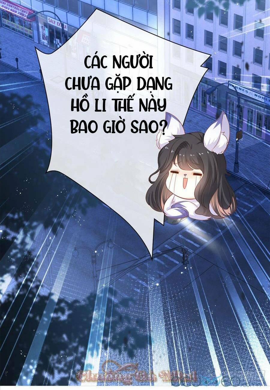 Sát Thủ Đại Nhân Tại Tuyến Dưỡng Hồ 0 trang 6