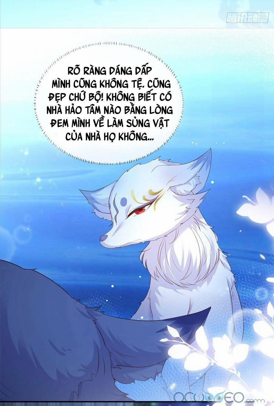 Sát Thủ Đại Nhân Tại Tuyến Dưỡng Hồ 1 trang 19