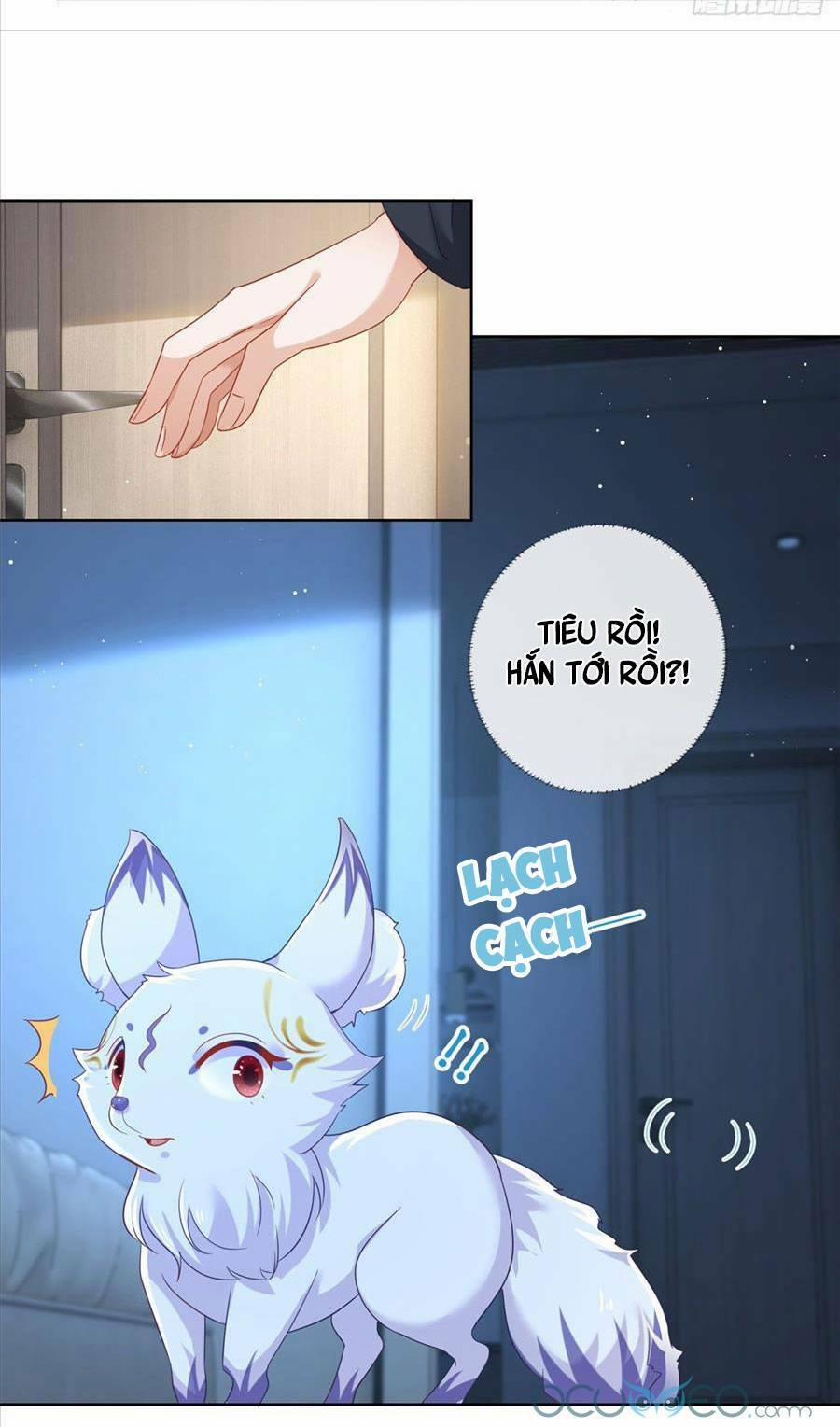 Sát Thủ Đại Nhân Tại Tuyến Dưỡng Hồ 2 trang 17