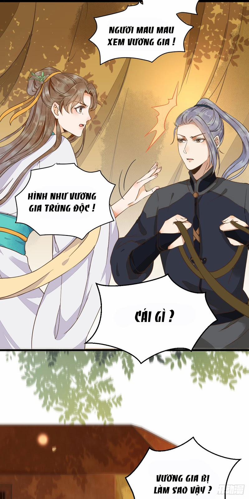 Sát Thủ Vương Phi Không Dễ Chọc 13 trang 3