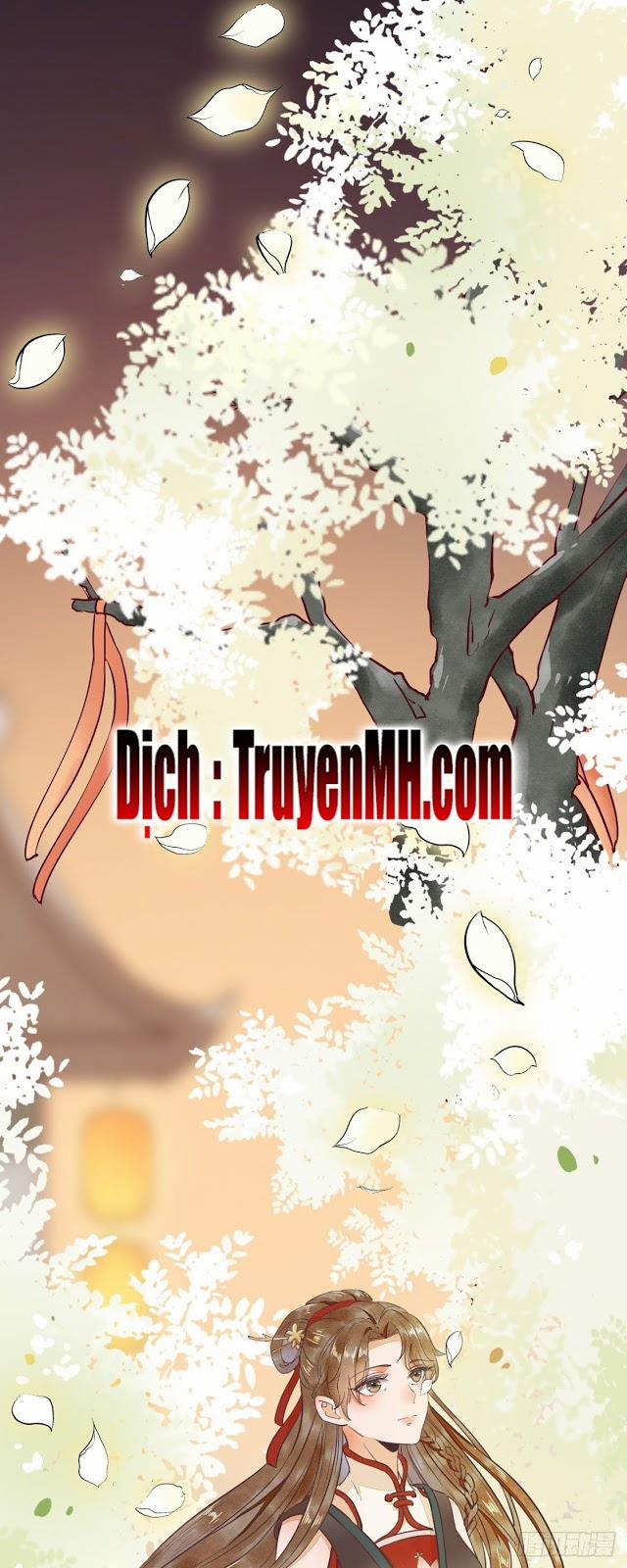 Sát Thủ Vương Phi Không Dễ Chọc 17 trang 3