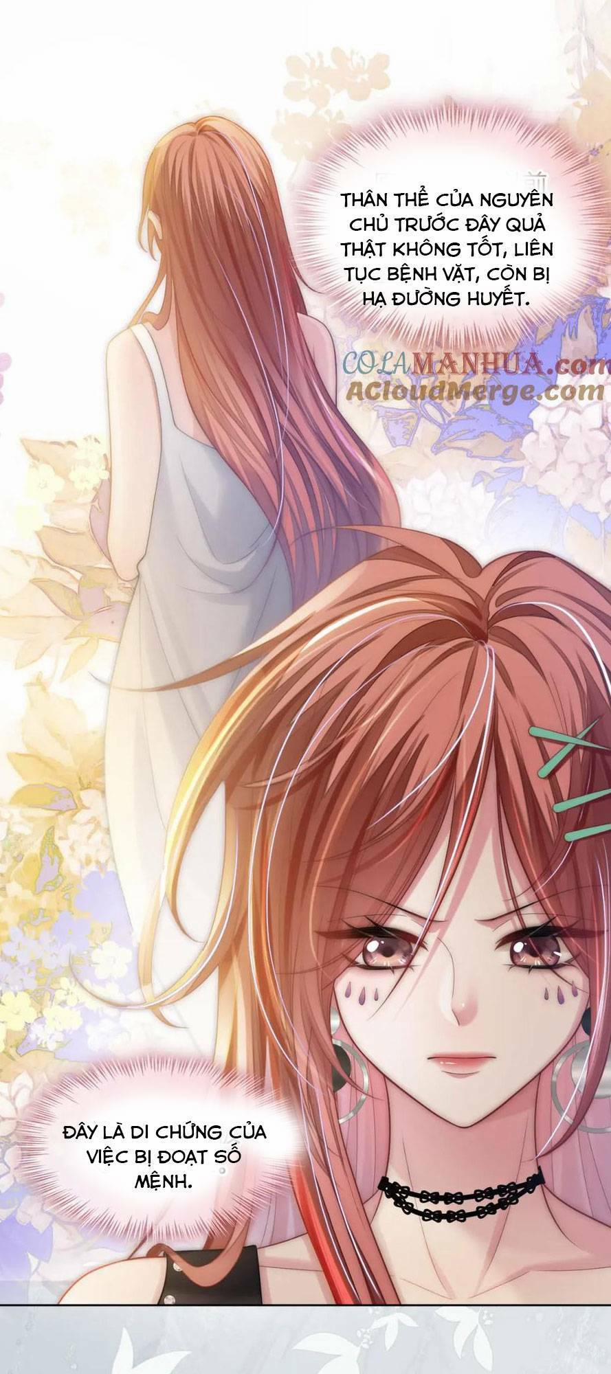 Sau Khi Bị Cướp Đi Tất Cả, Cô Ấy Phong Thần Trở Về 20 trang 14