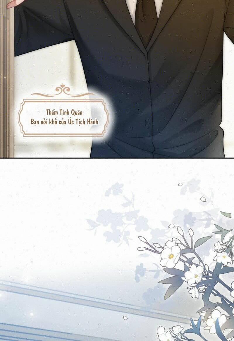 Sau Khi Bị Cướp Đi Tất Cả, Cô Ấy Phong Thần Trở Về 5 trang 12