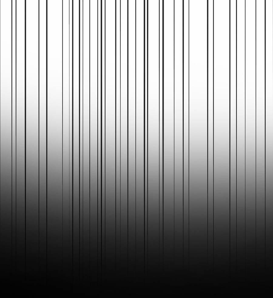 Sau Khi Bị Ốc Sên Truy Sát 4 trang 54