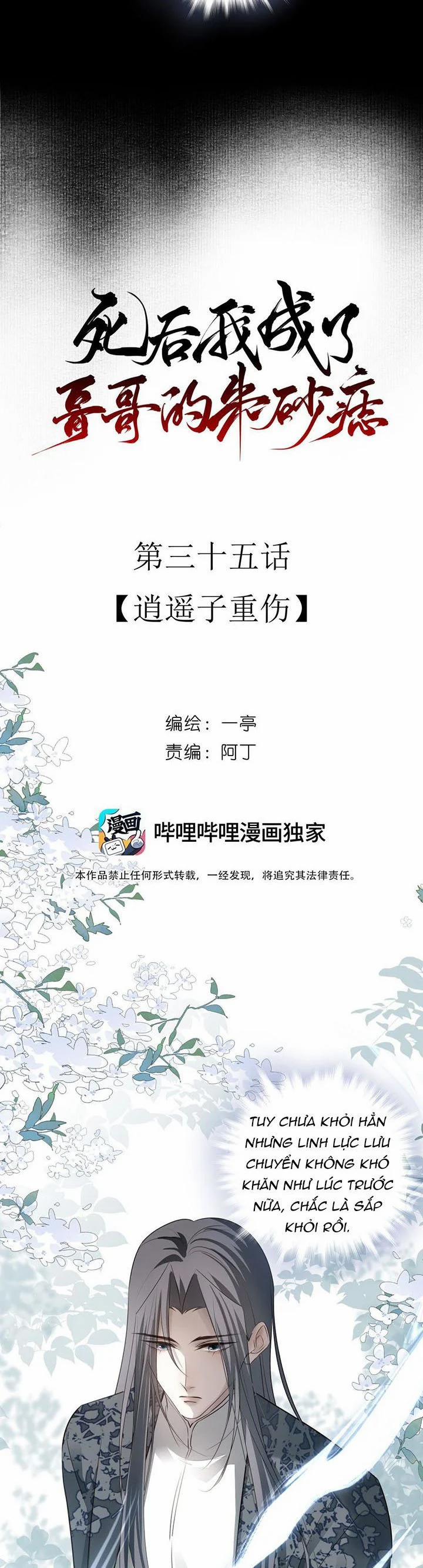 Sau Khi Chết Ta Trở Thành Nốt Chu Sa Của Ca Ca 35 trang 9