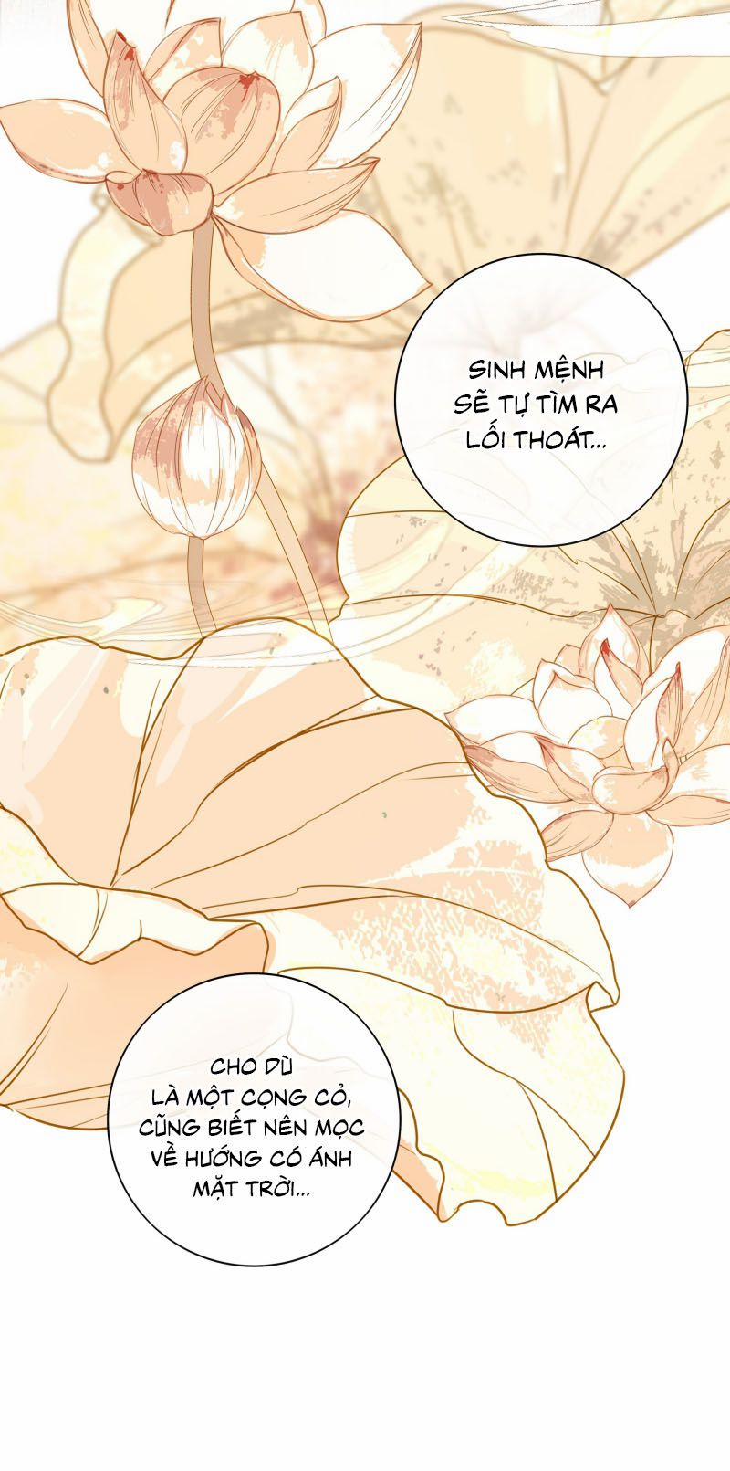 Sau Khi Chết Ta Trở Thành Nốt Chu Sa Của Ca Ca 58 trang 36