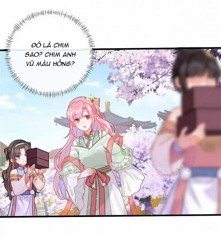 Sau Khi Công Chúa Bội Tình Bạc Nghĩa 23 trang 4