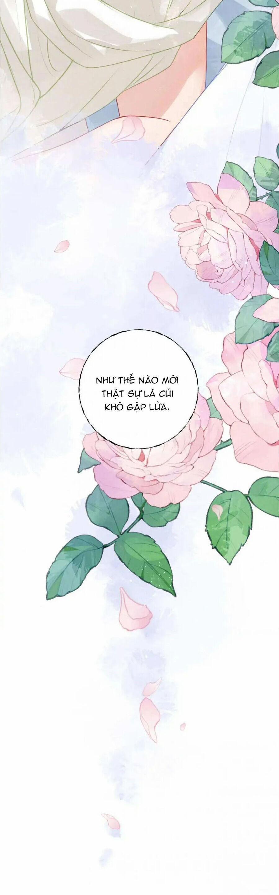 Sau Khi Công Chúa Bội Tình Bạc Nghĩa 30 trang 22