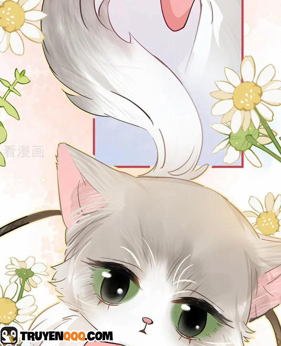 Sau Khi Công Chúa Bội Tình Bạc Nghĩa 48 trang 34