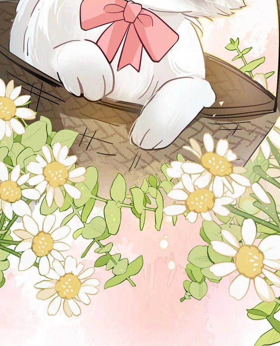 Sau Khi Công Chúa Bội Tình Bạc Nghĩa 48 trang 35