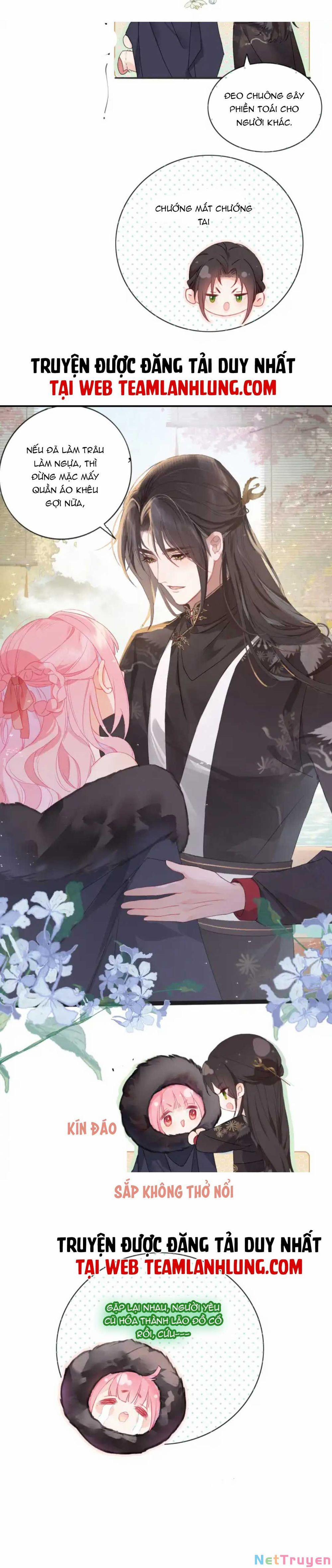 Sau Khi Công Chúa Bội Tình Bạc Nghĩa 6 trang 3