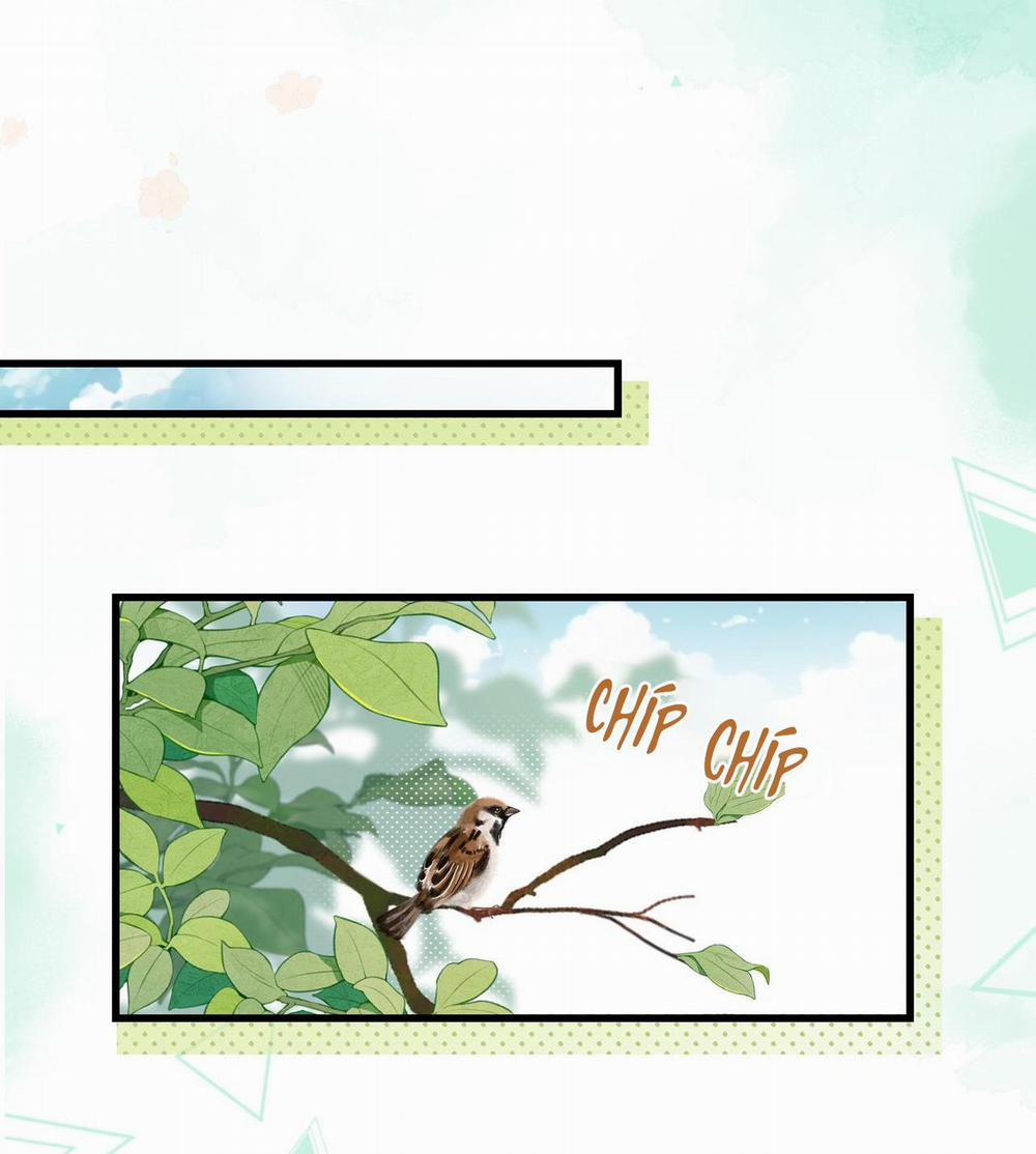 Sau Khi Giả Mất Trí Nhớ, Tình địch Nói Tôi Là Bạn Trai Của Hắn 42 trang 18