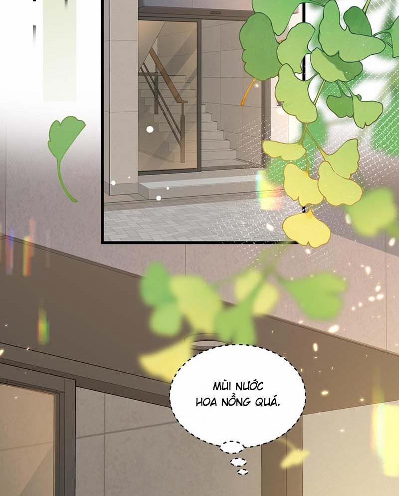 Sau Khi Giả Mất Trí Nhớ, Tình địch Nói Tôi Là Bạn Trai Của Hắn 52 trang 14