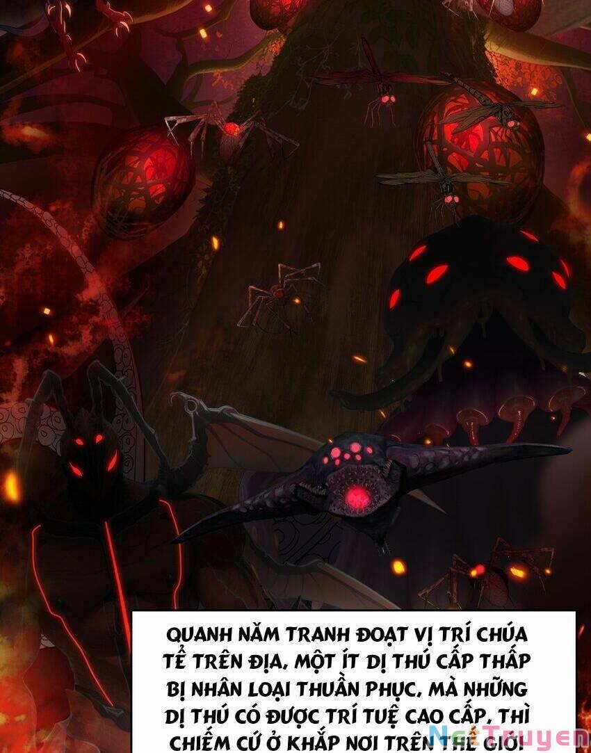 Sau Khi Kết Hợp Với Nữ Thần, Ta Bất Khả Chiến Bại! 1 trang 5