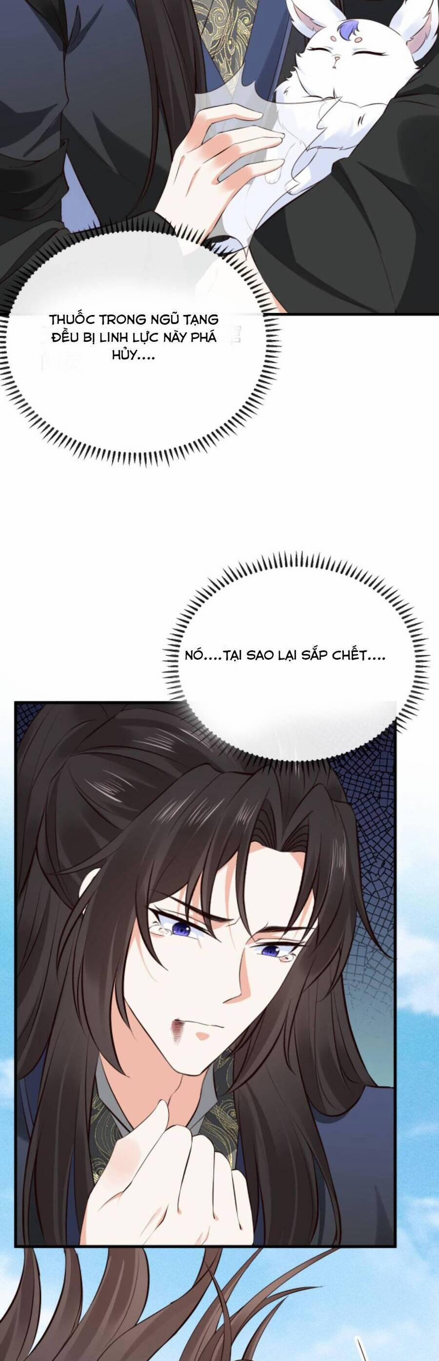 Sau Khi Không Ngừng Tìm Đường Chết, Ta Trở Thành Đế Tôn Vạn Người Mê 100 trang 19