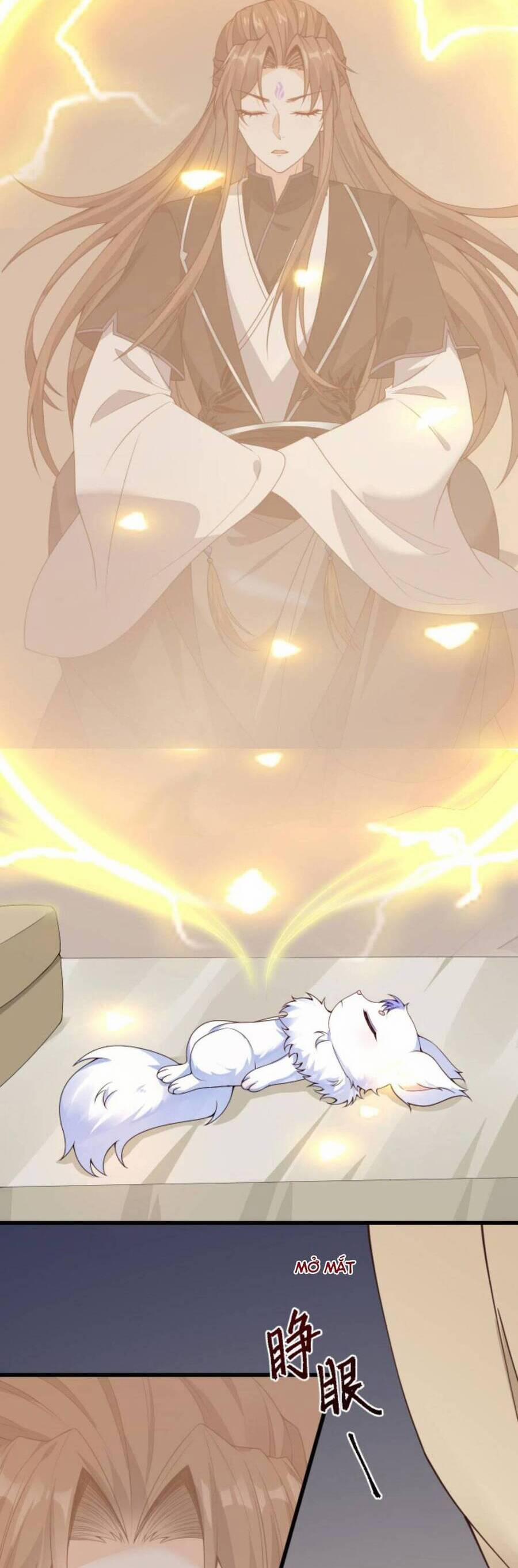 Sau Khi Không Ngừng Tìm Đường Chết, Ta Trở Thành Đế Tôn Vạn Người Mê 101 trang 4