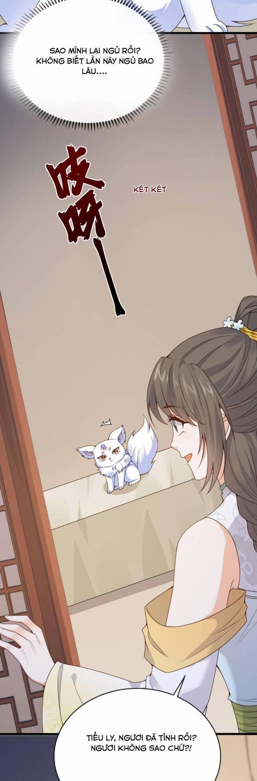 Sau Khi Không Ngừng Tìm Đường Chết, Ta Trở Thành Đế Tôn Vạn Người Mê 101 trang 6