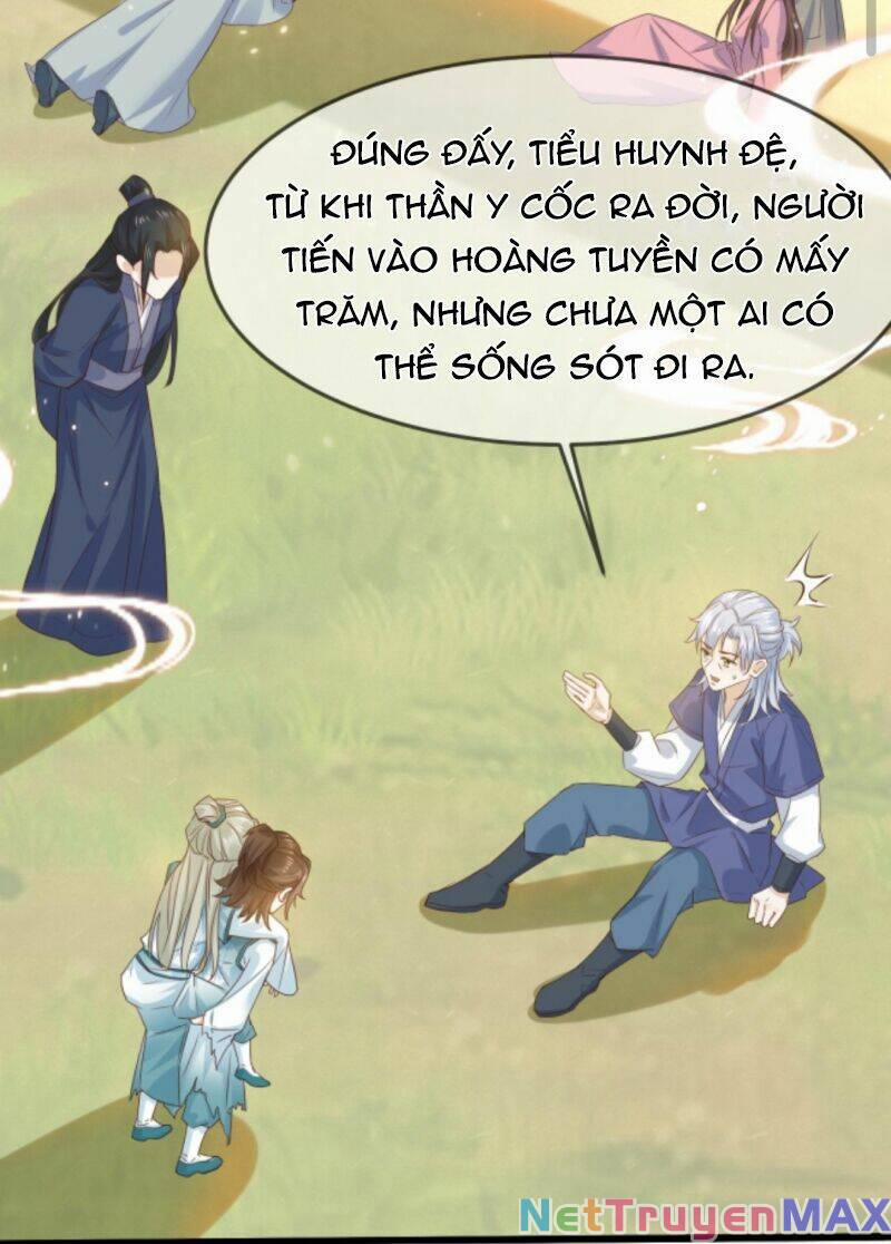 Sau Khi Không Ngừng Tìm Đường Chết, Ta Trở Thành Đế Tôn Vạn Người Mê 12 trang 11