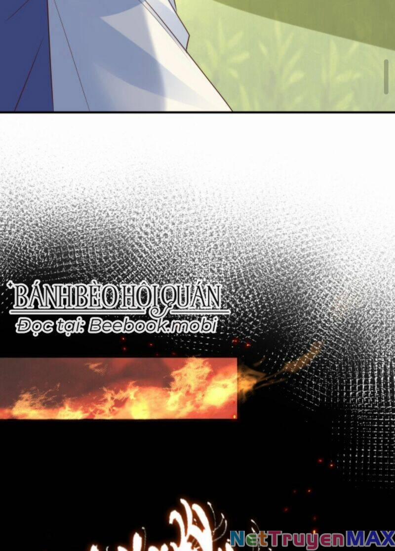 Sau Khi Không Ngừng Tìm Đường Chết, Ta Trở Thành Đế Tôn Vạn Người Mê 12 trang 14