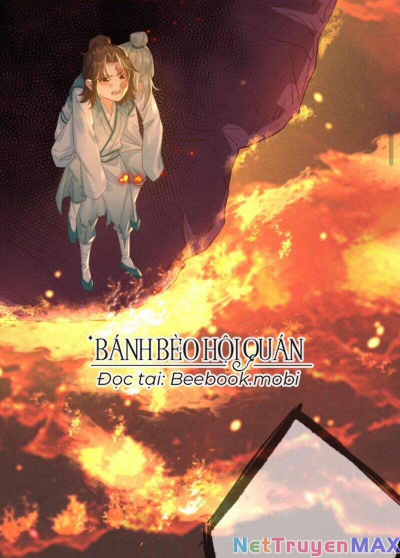 Sau Khi Không Ngừng Tìm Đường Chết, Ta Trở Thành Đế Tôn Vạn Người Mê 12 trang 17