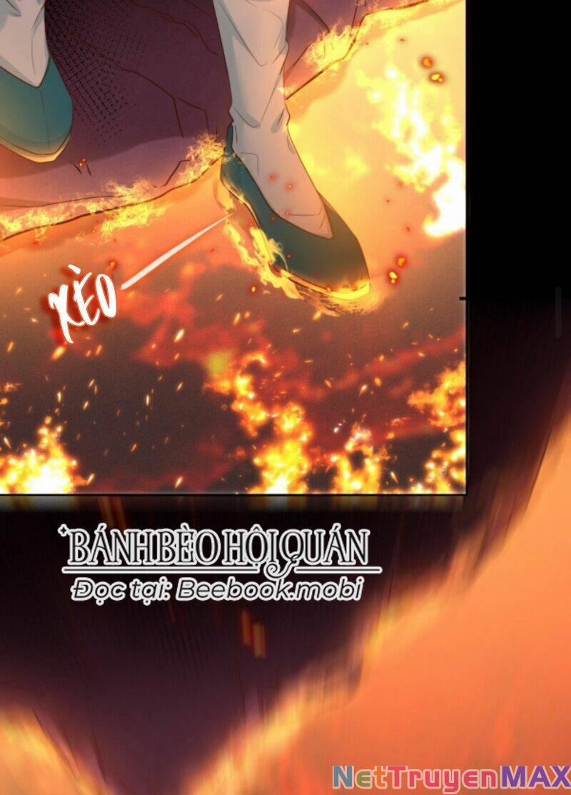 Sau Khi Không Ngừng Tìm Đường Chết, Ta Trở Thành Đế Tôn Vạn Người Mê 12 trang 20