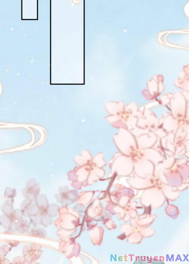 Sau Khi Không Ngừng Tìm Đường Chết, Ta Trở Thành Đế Tôn Vạn Người Mê 12 trang 5