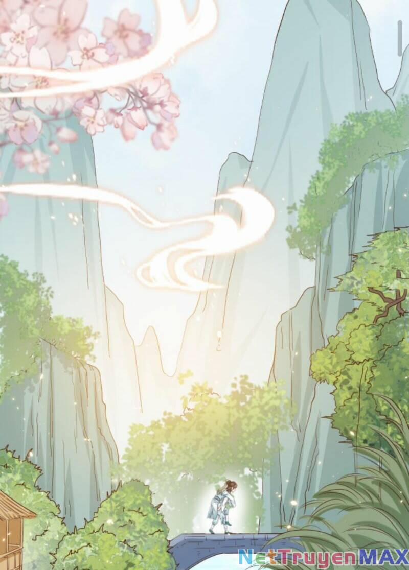 Sau Khi Không Ngừng Tìm Đường Chết, Ta Trở Thành Đế Tôn Vạn Người Mê 12 trang 6