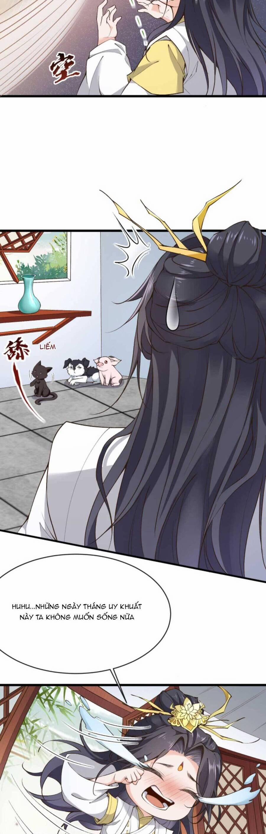 Sau Khi Không Ngừng Tìm Đường Chết, Ta Trở Thành Đế Tôn Vạn Người Mê 156 trang 8