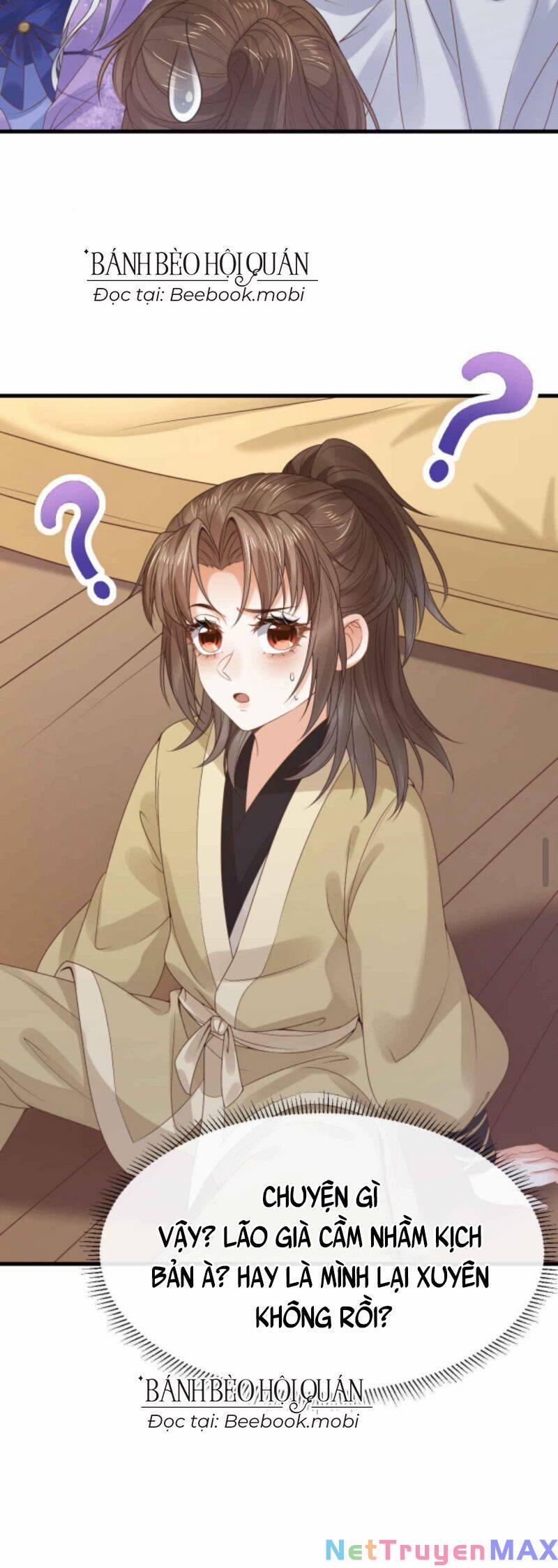 Sau Khi Không Ngừng Tìm Đường Chết, Ta Trở Thành Đế Tôn Vạn Người Mê 28 trang 8