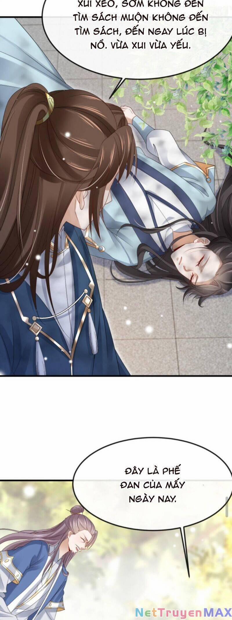 Sau Khi Không Ngừng Tìm Đường Chết, Ta Trở Thành Đế Tôn Vạn Người Mê 31 trang 14