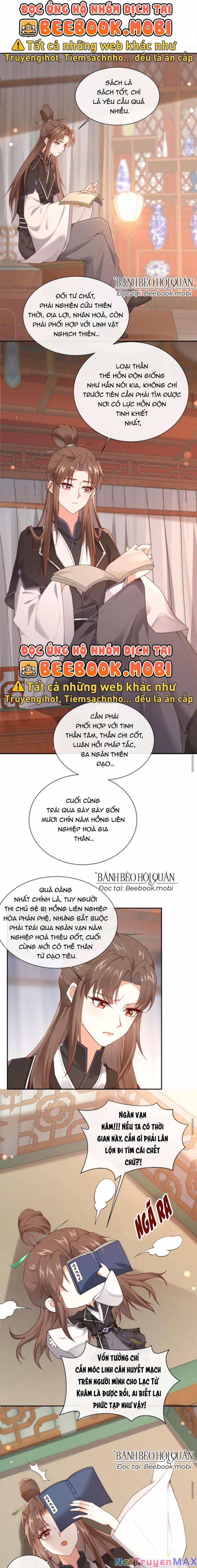 Sau Khi Không Ngừng Tìm Đường Chết, Ta Trở Thành Đế Tôn Vạn Người Mê 52 trang 1