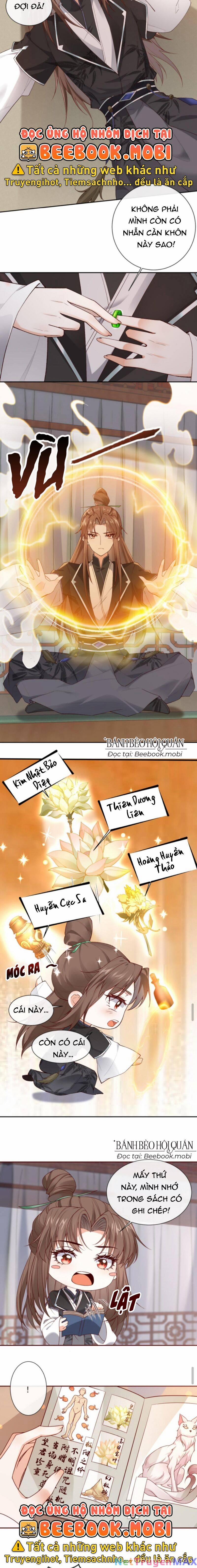 Sau Khi Không Ngừng Tìm Đường Chết, Ta Trở Thành Đế Tôn Vạn Người Mê 52 trang 2