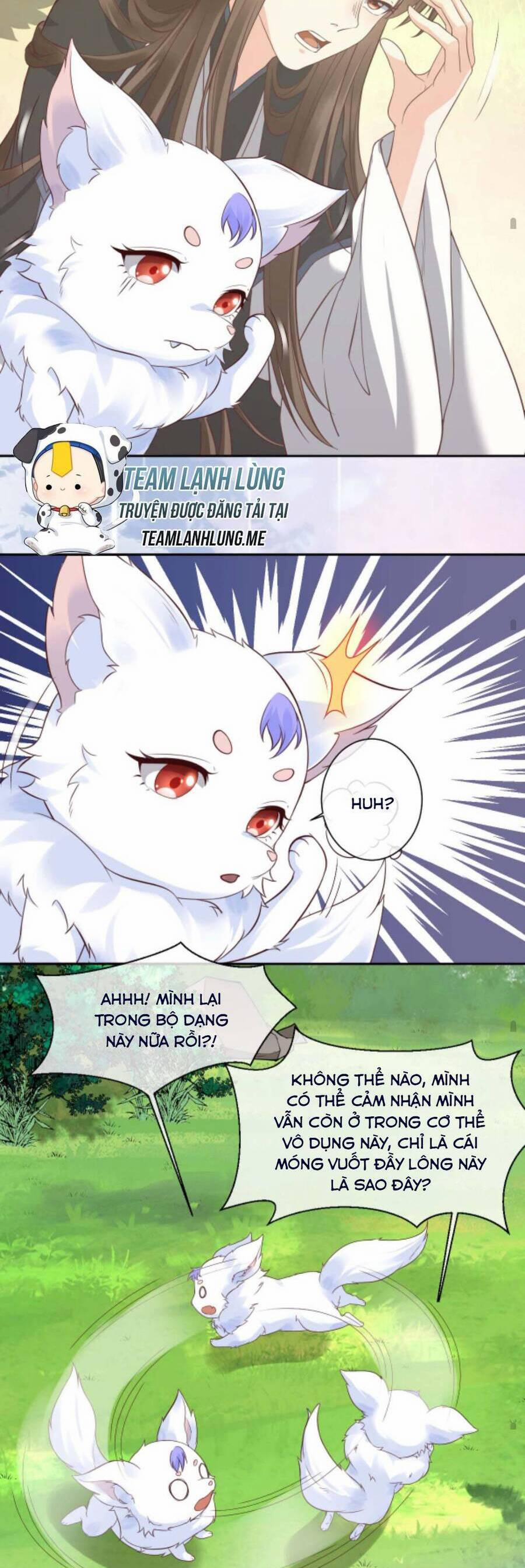 Sau Khi Không Ngừng Tìm Đường Chết, Ta Trở Thành Đế Tôn Vạn Người Mê 71 trang 11