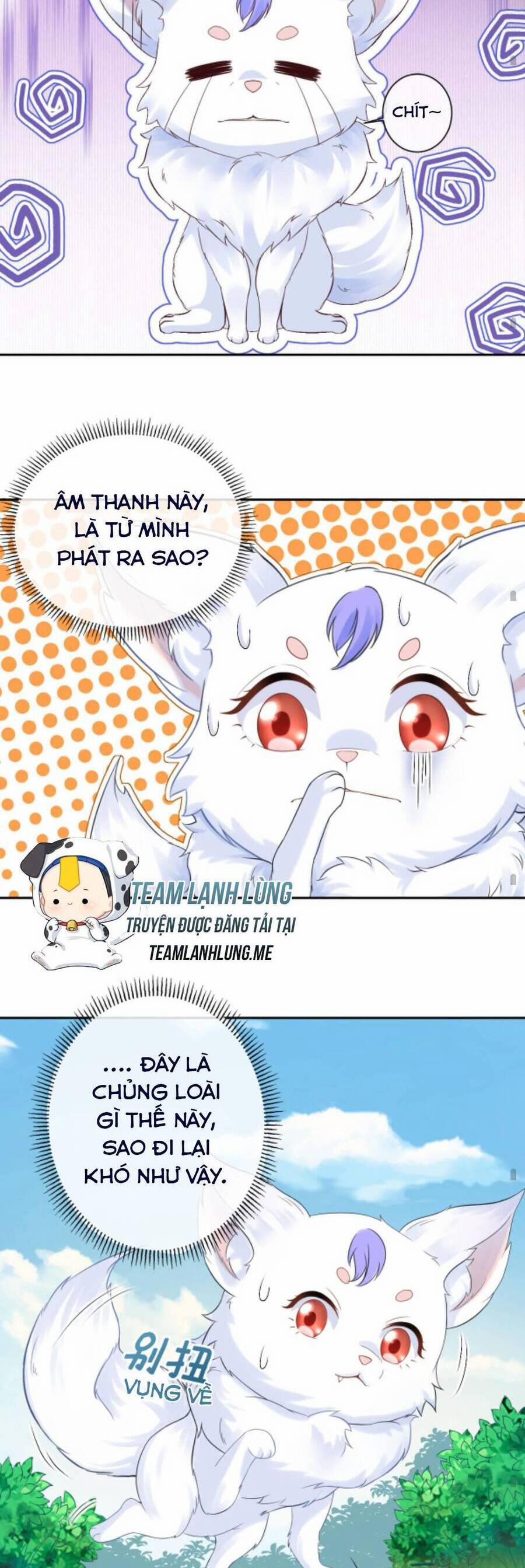 Sau Khi Không Ngừng Tìm Đường Chết, Ta Trở Thành Đế Tôn Vạn Người Mê 71 trang 13