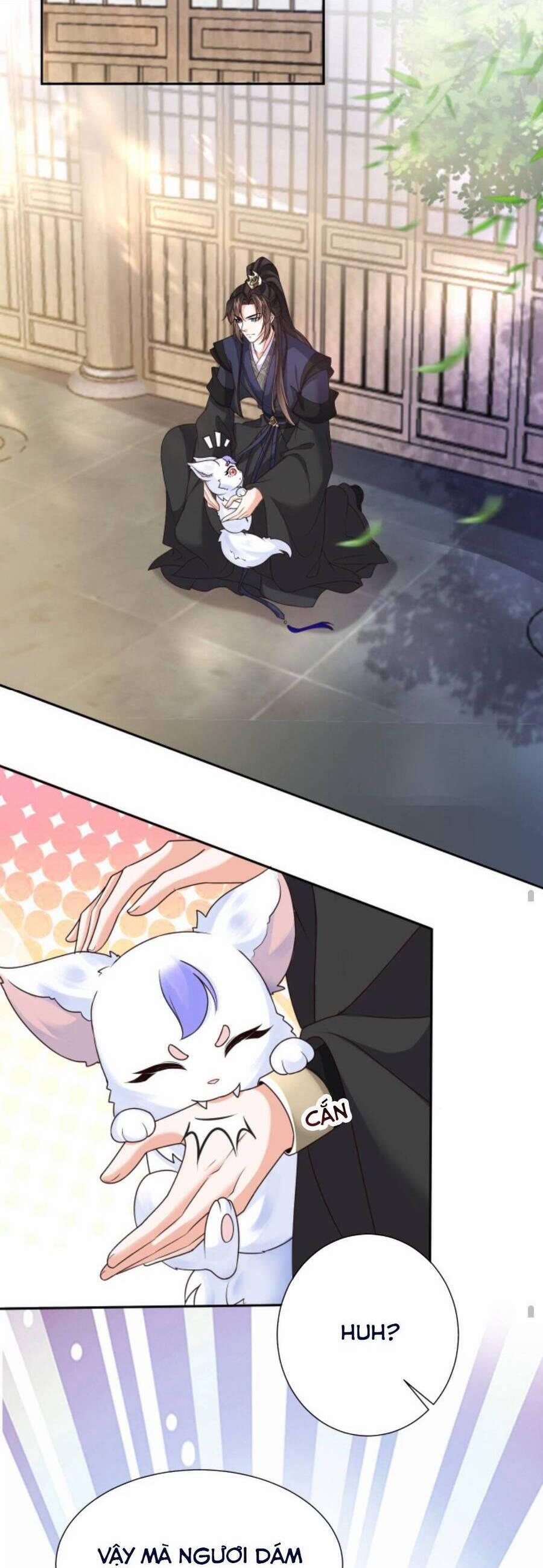 Sau Khi Không Ngừng Tìm Đường Chết, Ta Trở Thành Đế Tôn Vạn Người Mê 72 trang 11