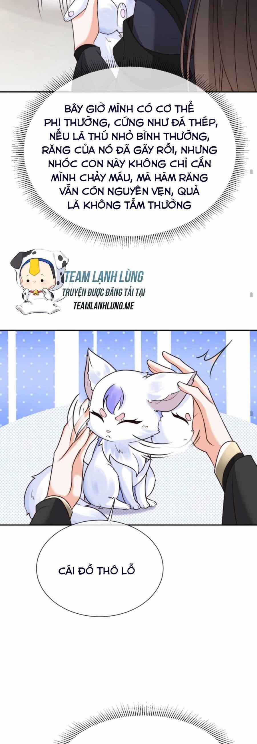 Sau Khi Không Ngừng Tìm Đường Chết, Ta Trở Thành Đế Tôn Vạn Người Mê 72 trang 13